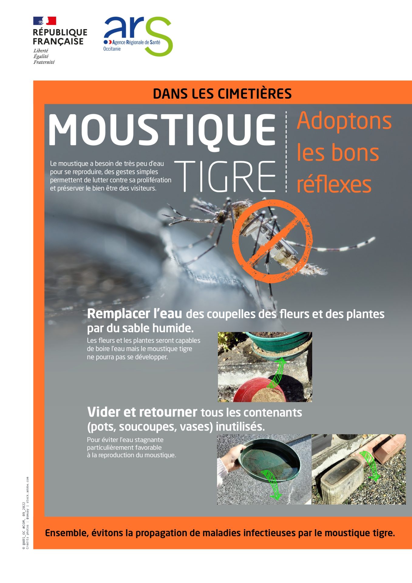 Lire la suite à propos de l’article MOUTIQUE TIGRE